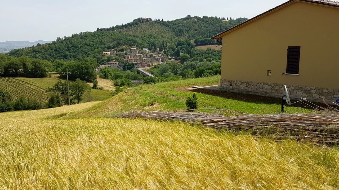 Photo of Others in Todi