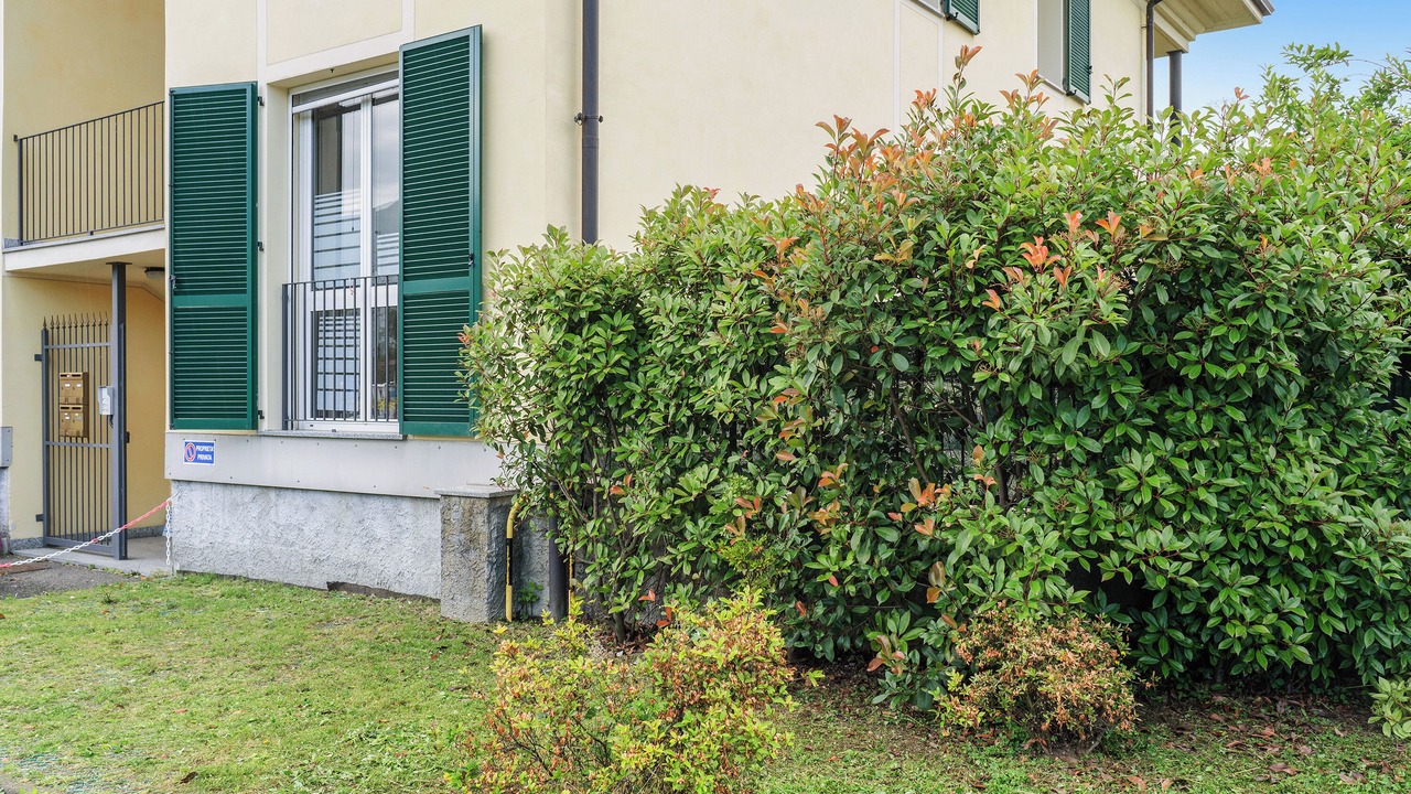 Photo of Outdoor in Feriolo
