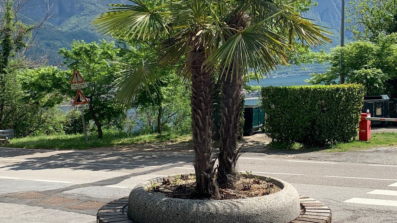 Photo of Outdoor in Valbrona