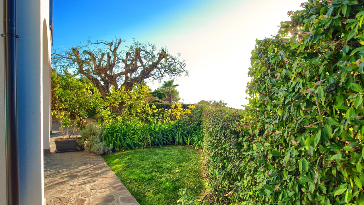 Photo of Outdoor in Imperia