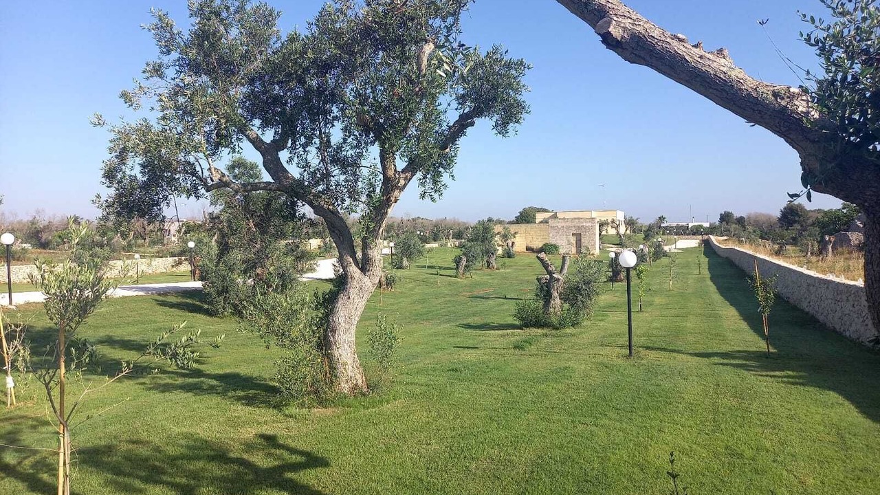 Photo of Outdoor in Torre Specchia Ruggeri