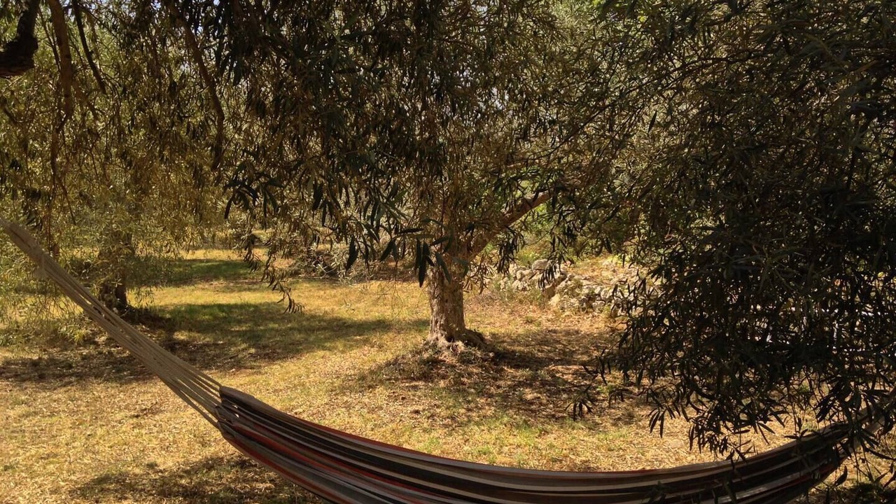 Photo of Outdoor in Ferla