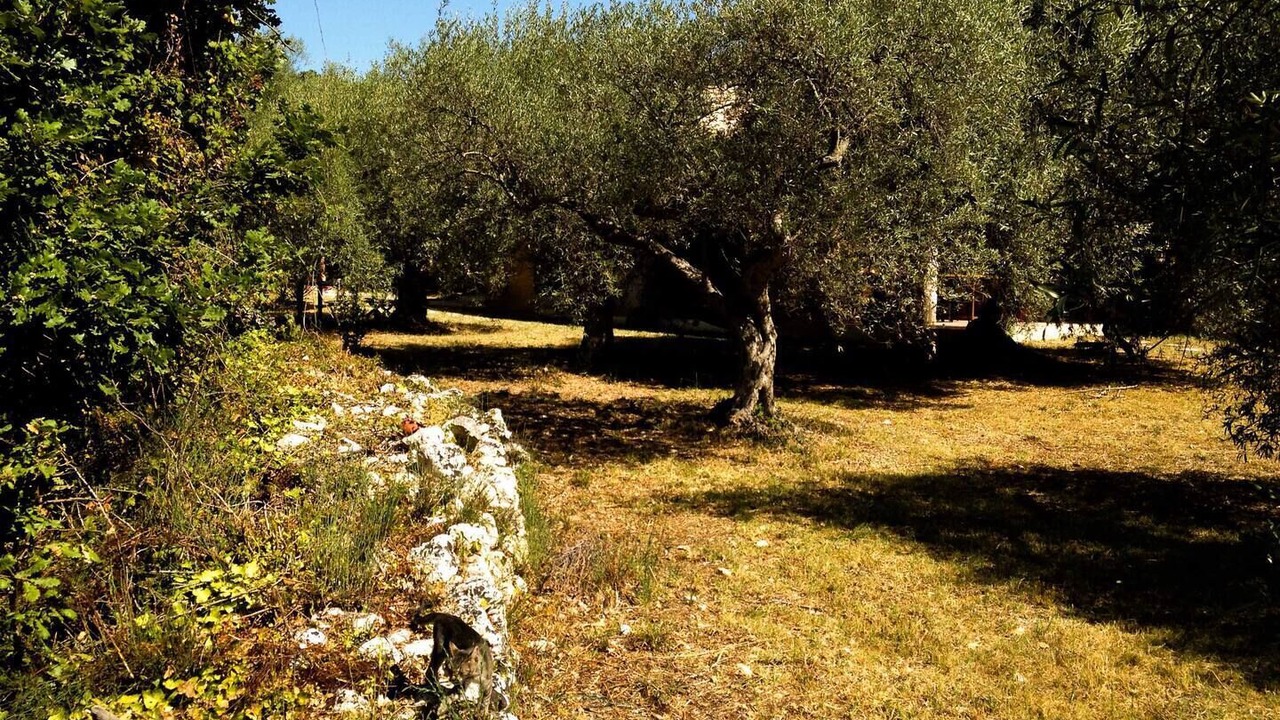 Photo of Outdoor in Ferla