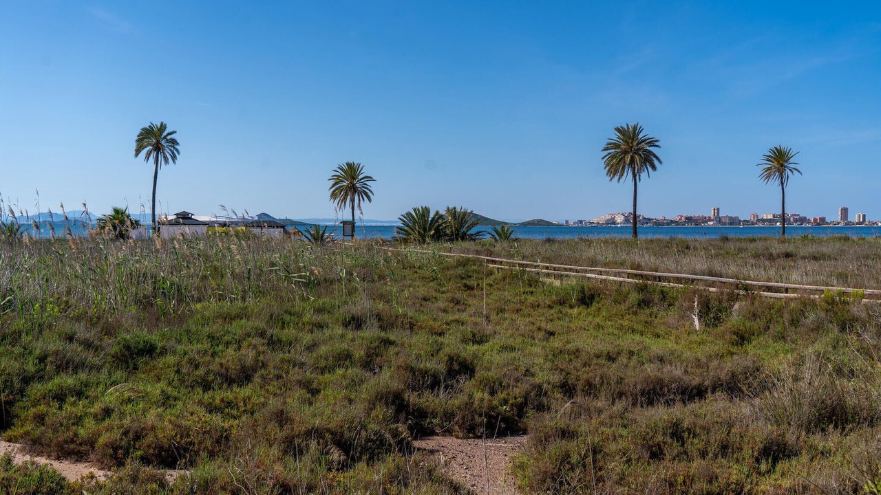 Photo of Others in Playa Paraiso
