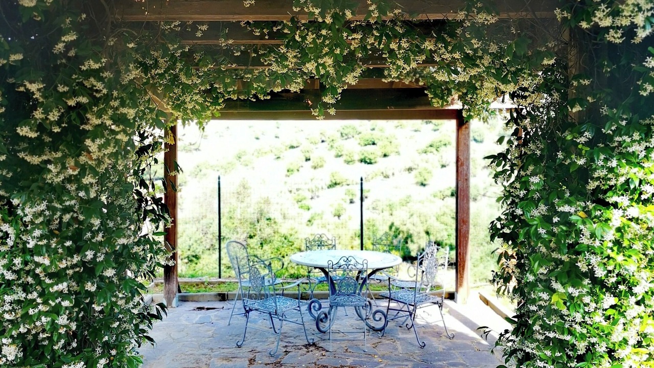 Photo of Outdoor in Campagnatico