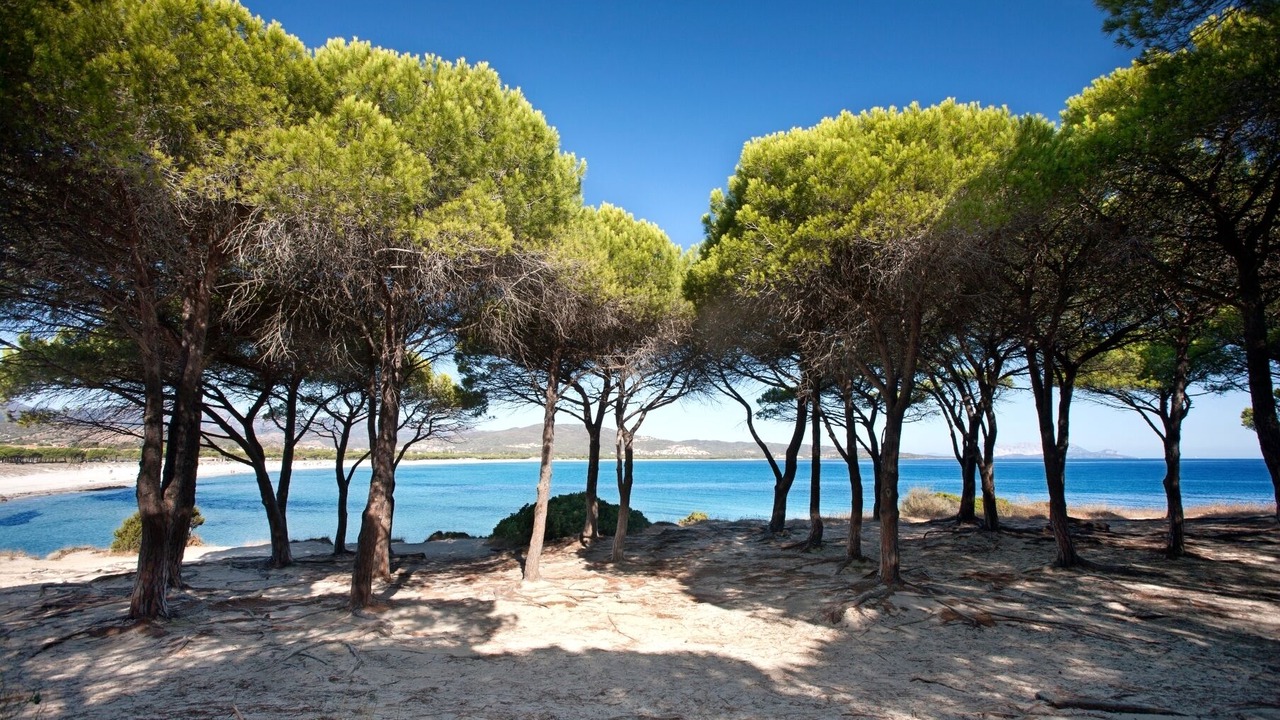 Photo of Others in Baia Sant'Anna