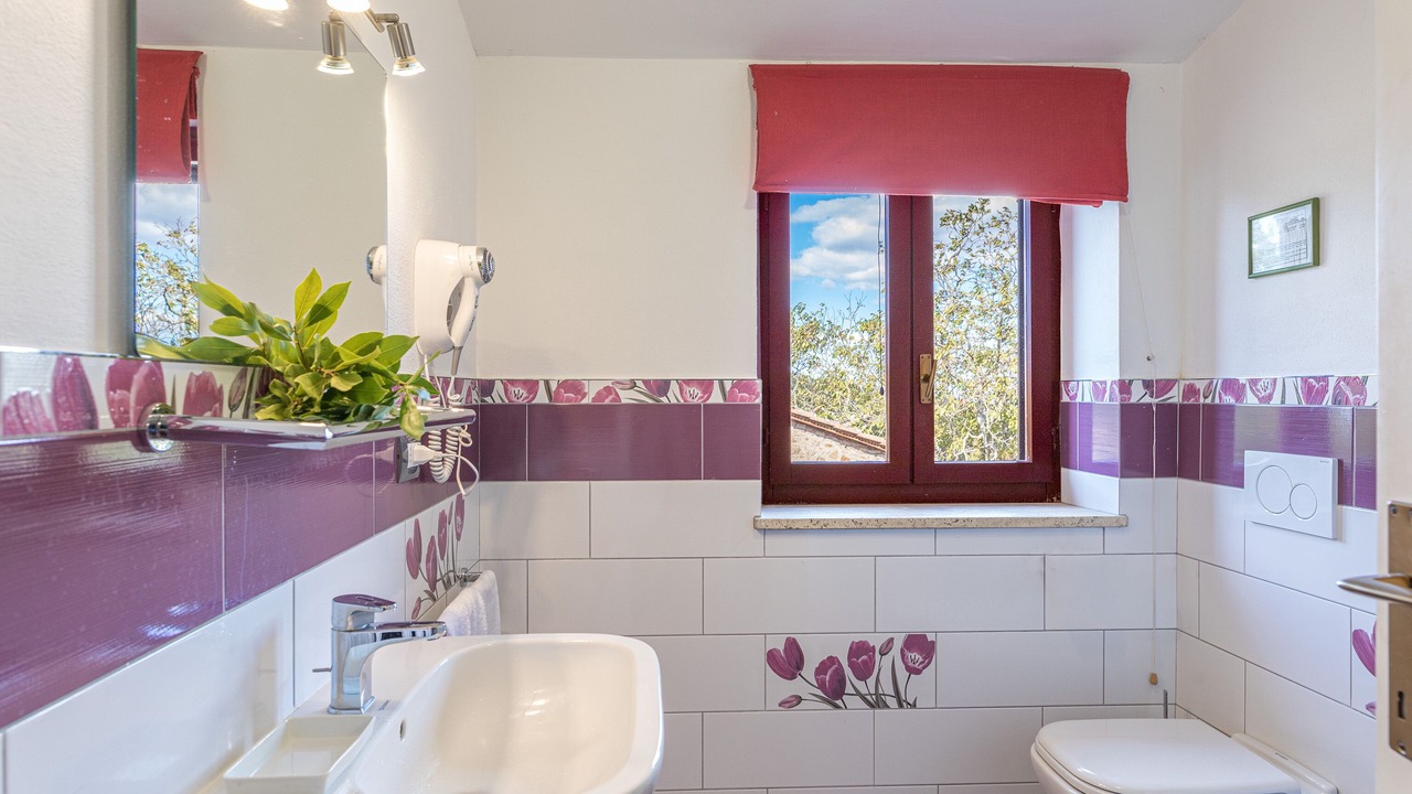 Photo of Bathroom in Civitella Paganico