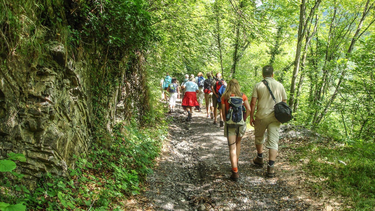 Photo of Others in Nespolo