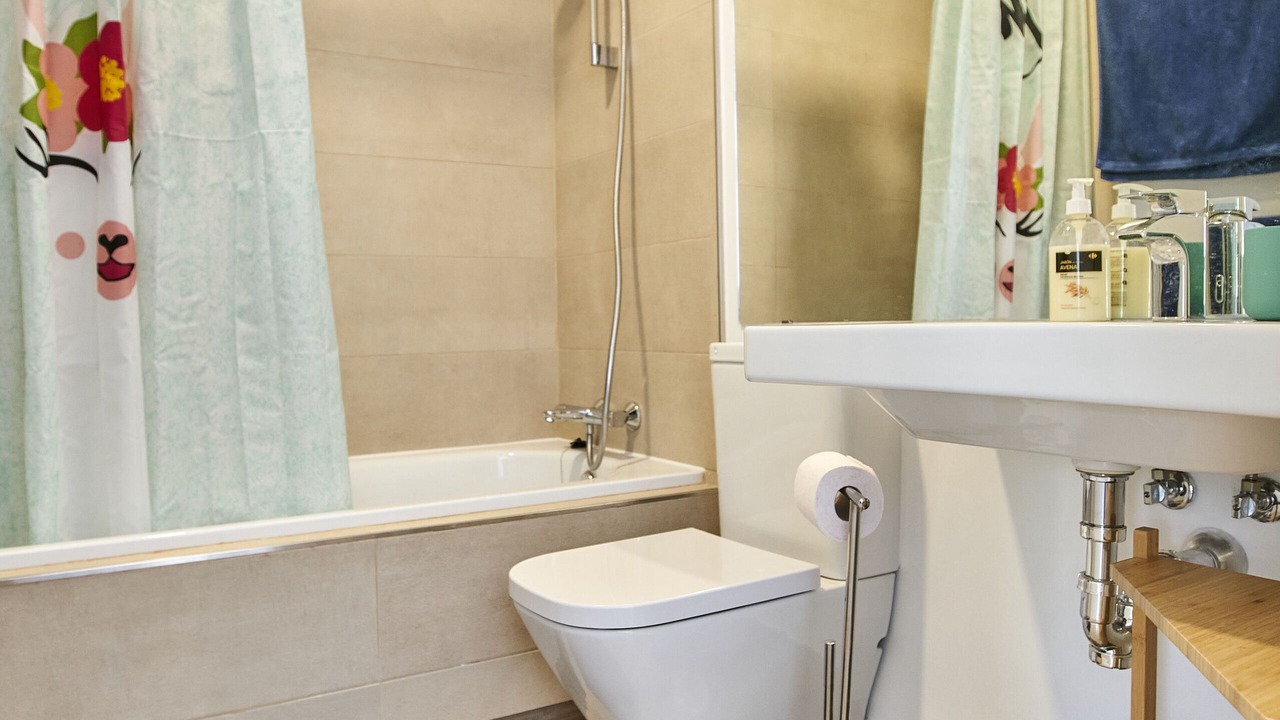 Photo of Bathroom in Manilva