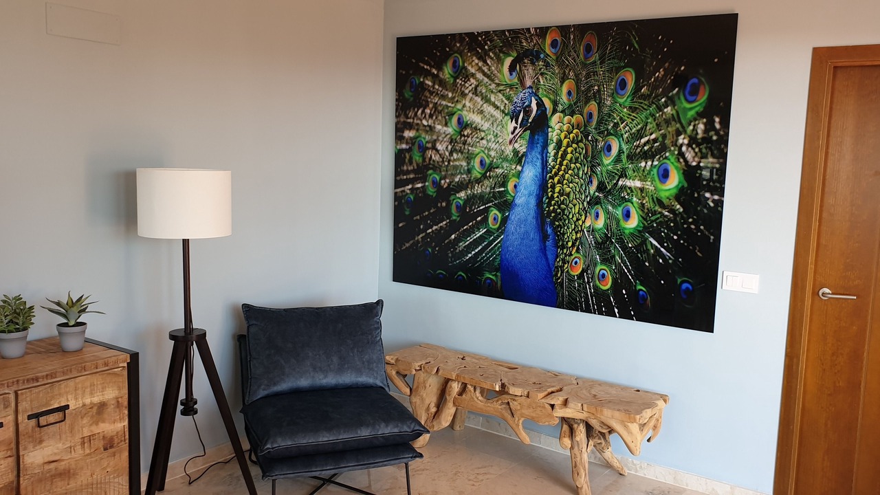 Photo of Livingroom in Punta Prima