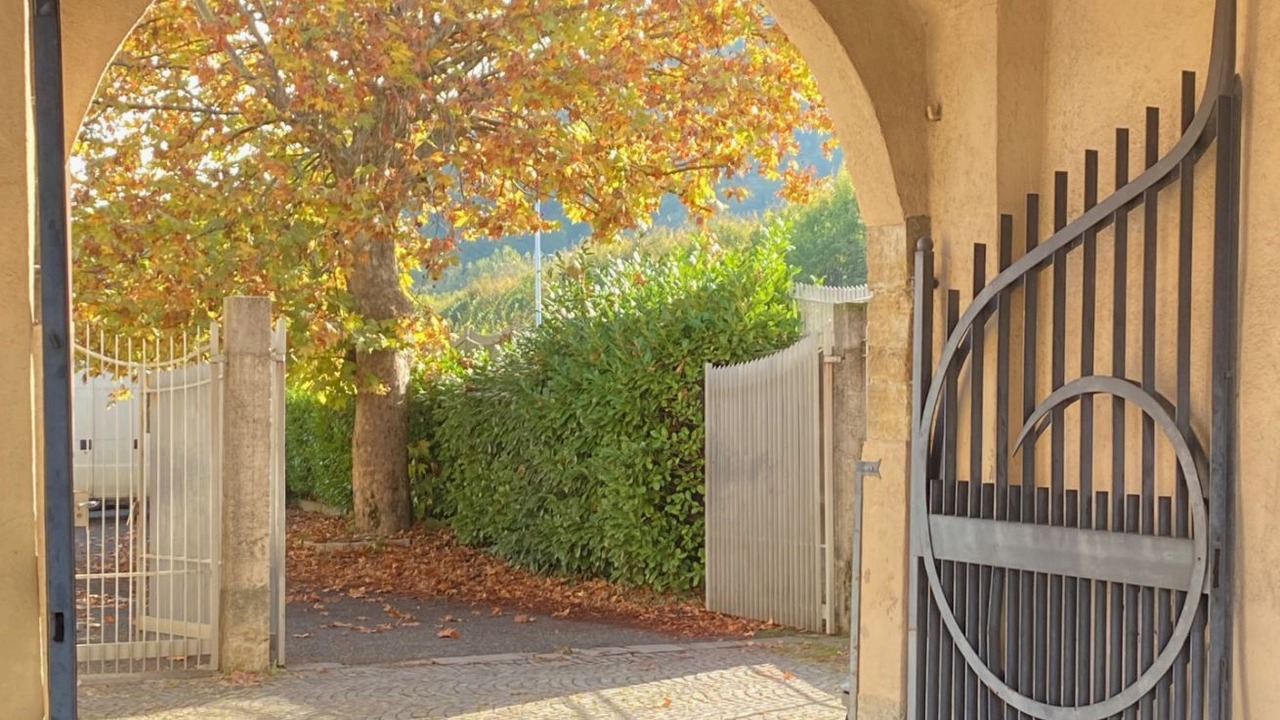 Photo of Outdoor in Mozzo