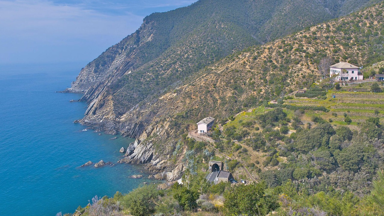 Photo of Others in Borzonasca