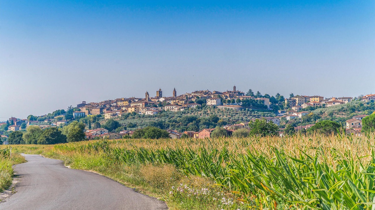 Photo of Others in Monte San Savino