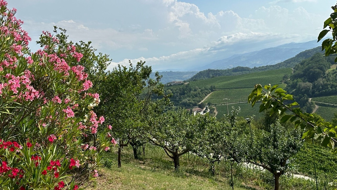 Photo of Outdoor in Montabone