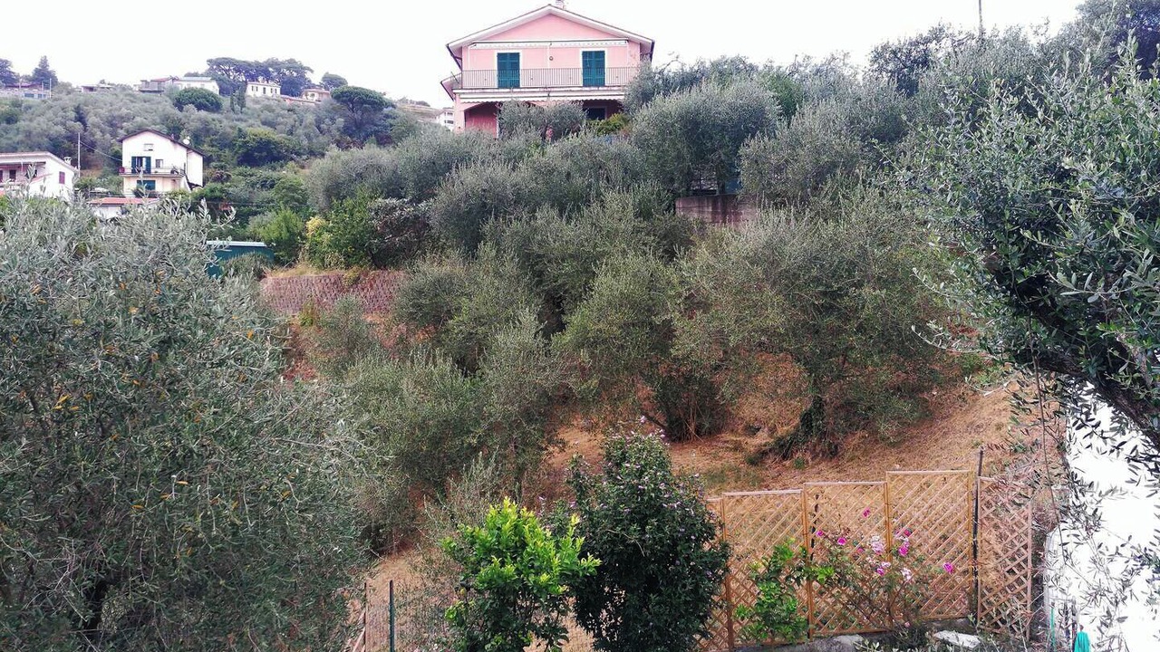 Photo of Outdoor in Crocetta
