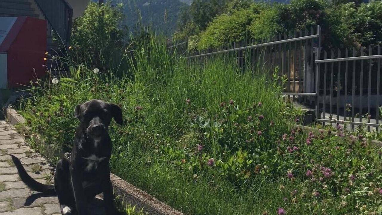 Photo of Outdoor in Gravere