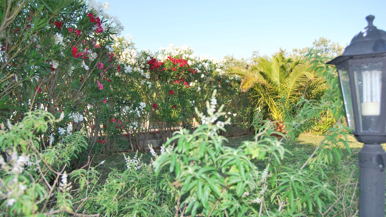 Photo of Outdoor in Montalbano Jonico