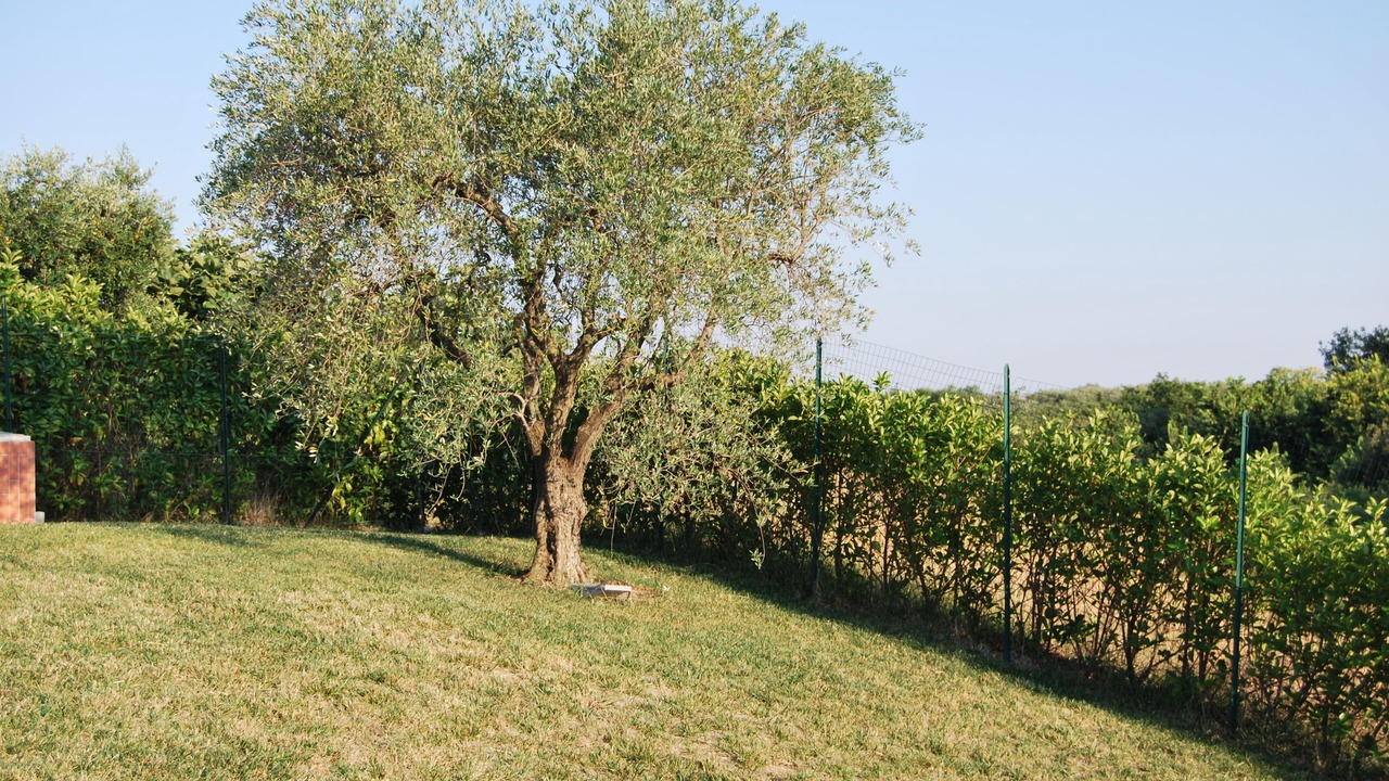 Photo of Outdoor in Montalbano Jonico