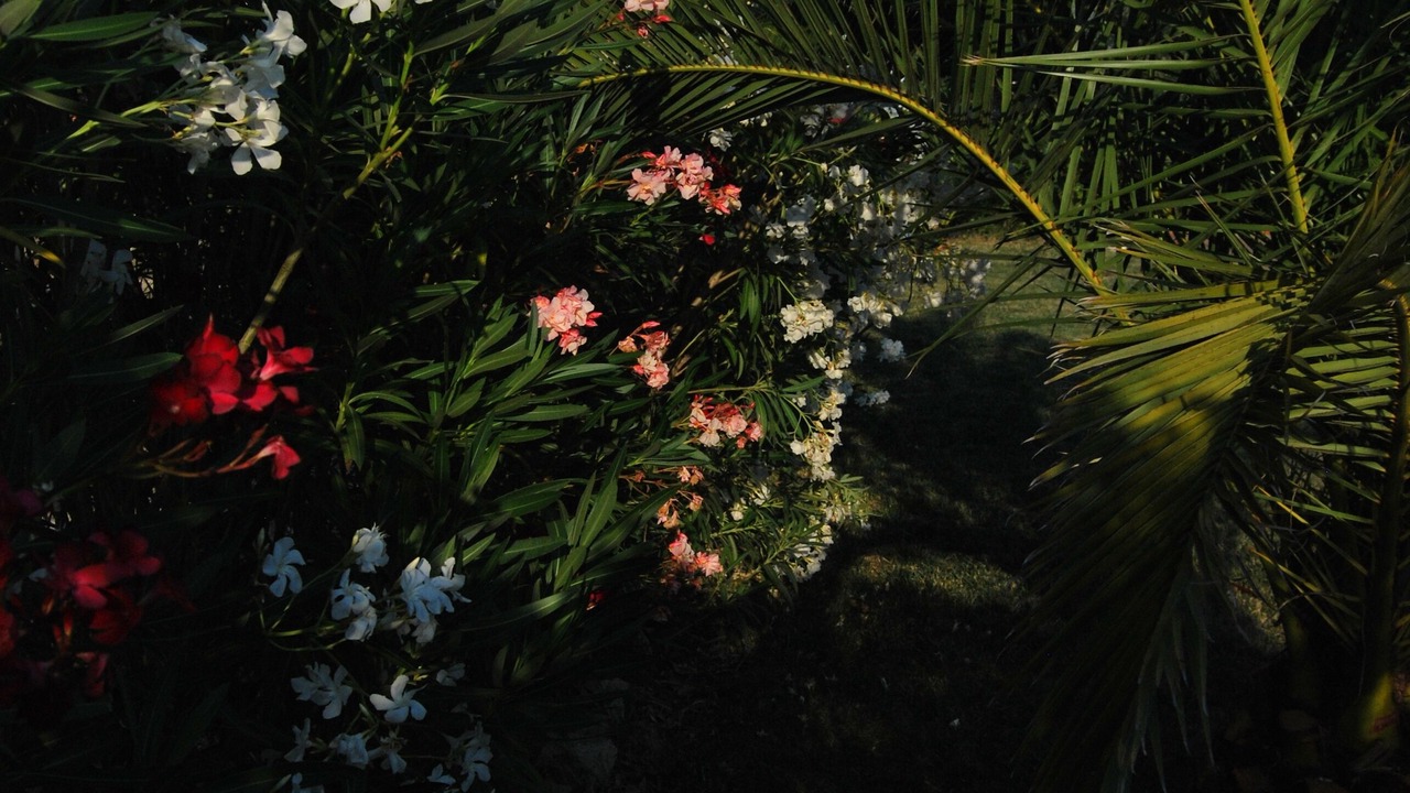 Photo of Outdoor in Montalbano Jonico