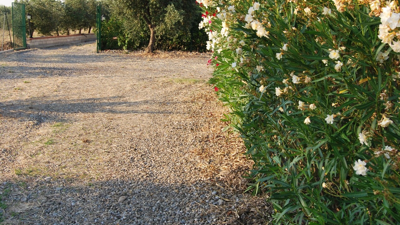 Photo of Outdoor in Montalbano Jonico