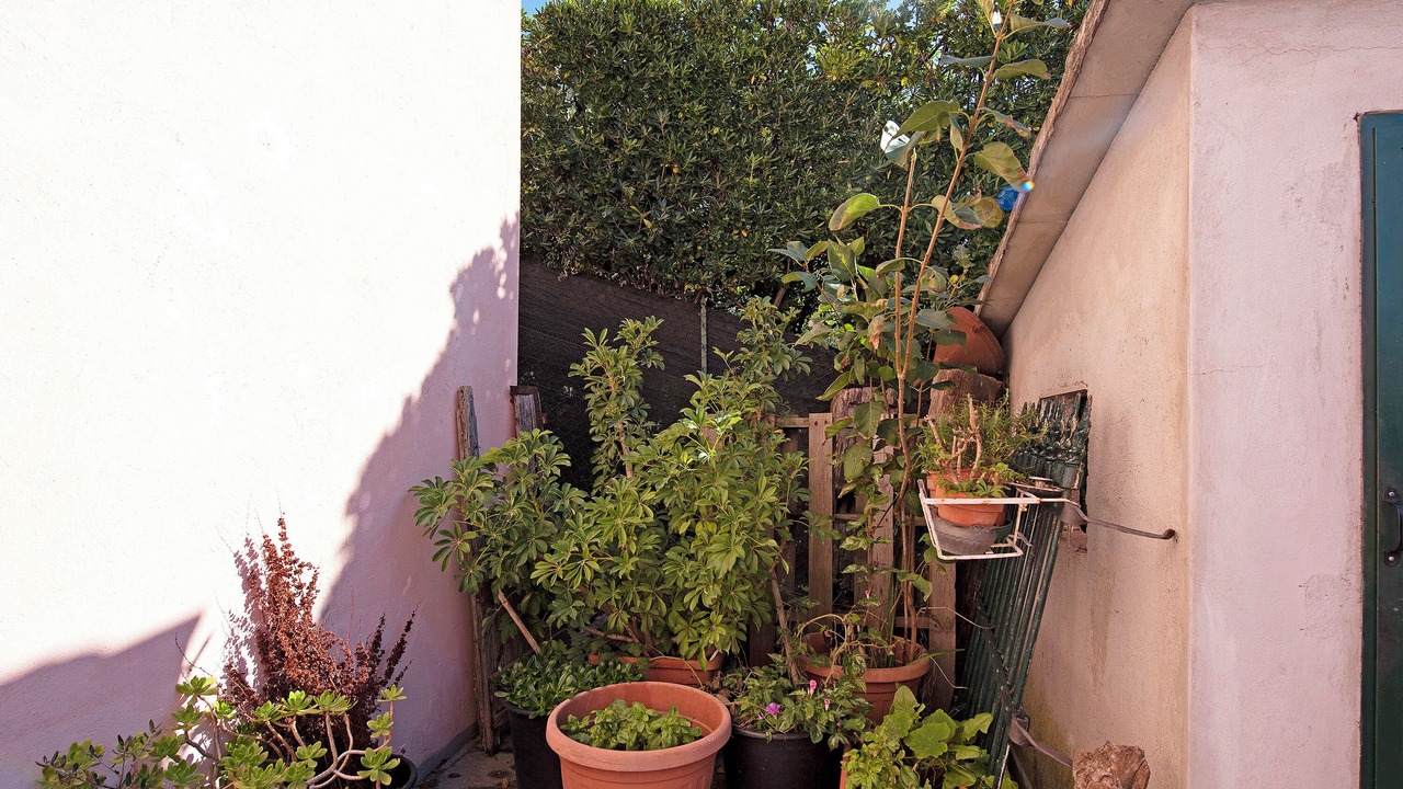 Photo of Outdoor in Lavagna