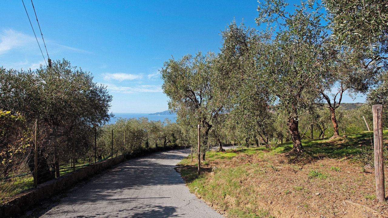 Photo of Others in Lavagna