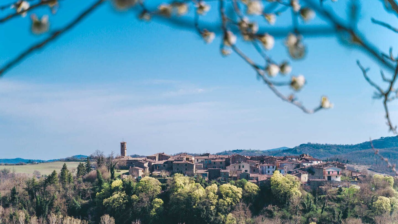 Photo of Others in Montalcinello