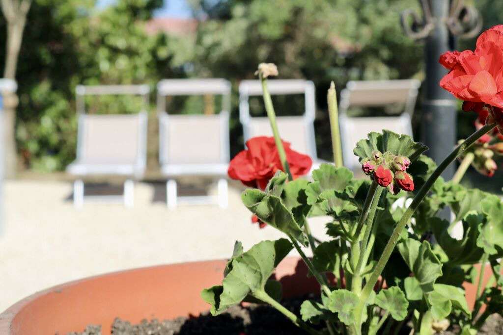 Photo of Outdoor in Cerveteri