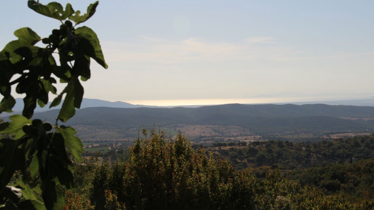 Photo of Others in Scansano