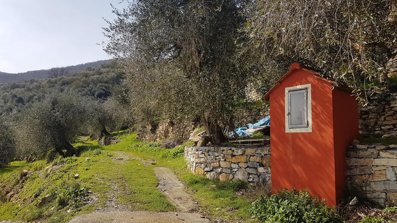 Photo of Outdoor in Olivastri