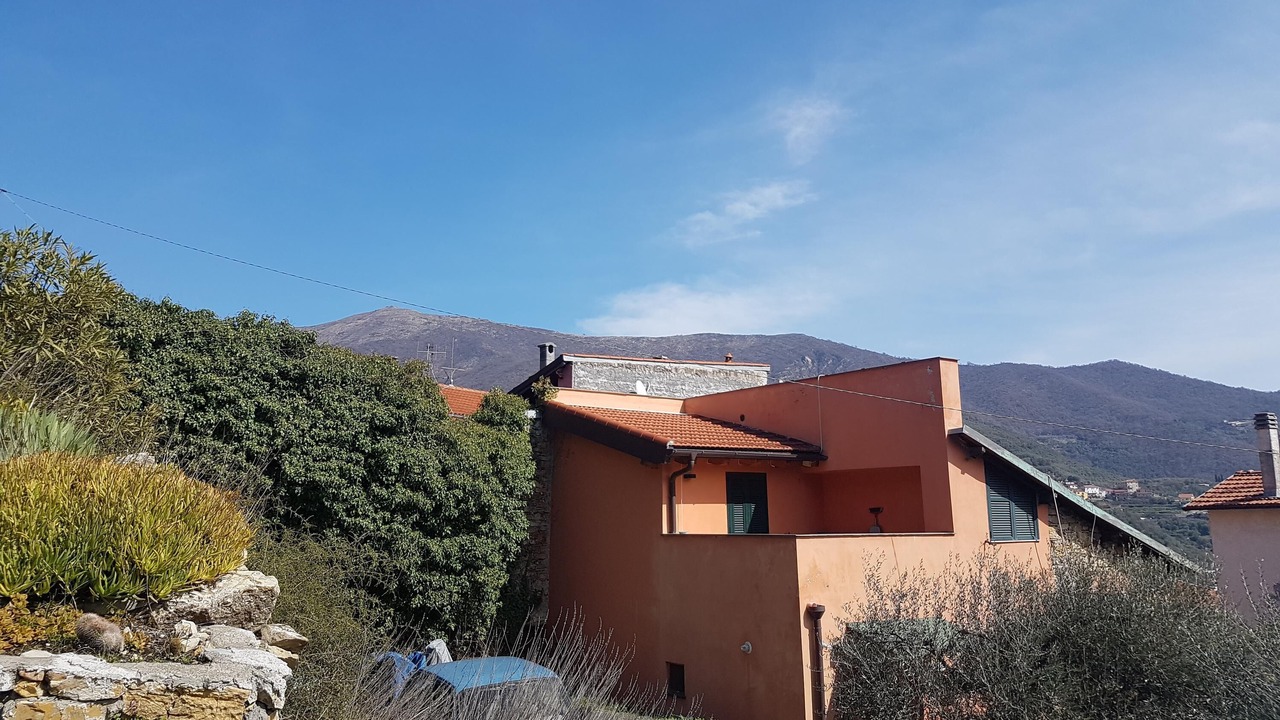 Photo of Others in Olivastri