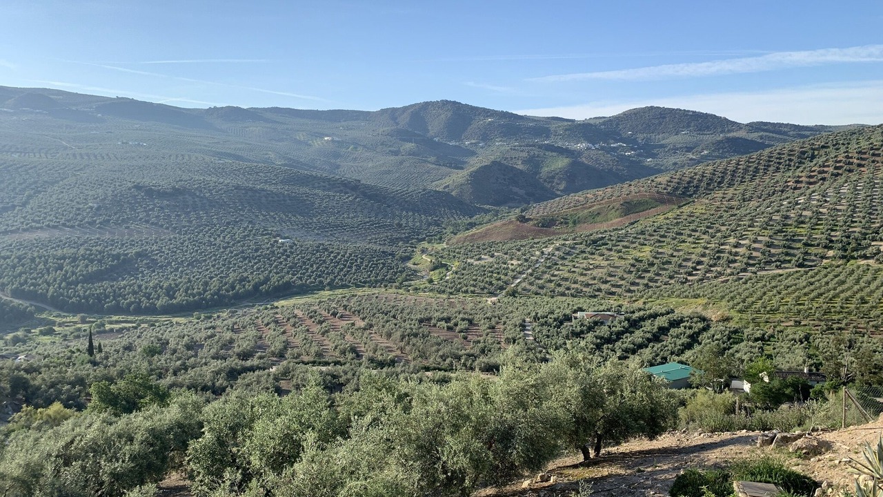Photo of Outdoor in Iznajar