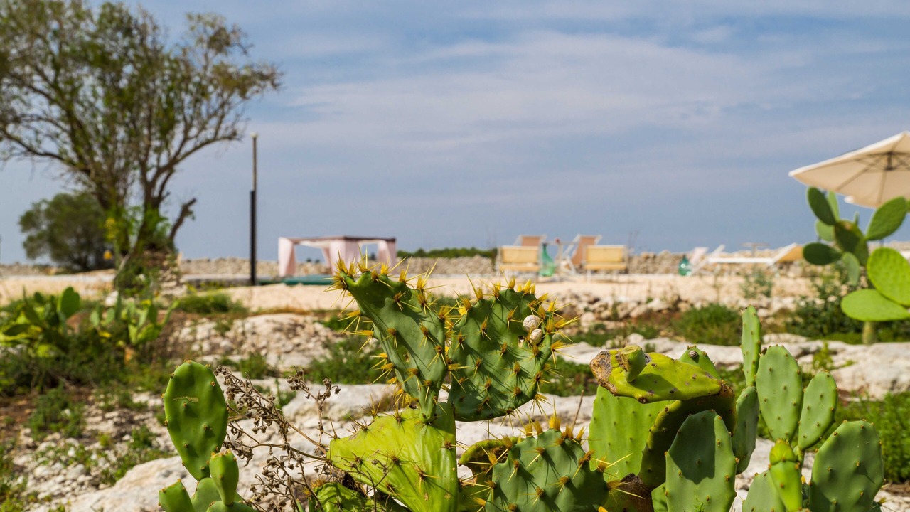 Photo of Outdoor in Castromediano