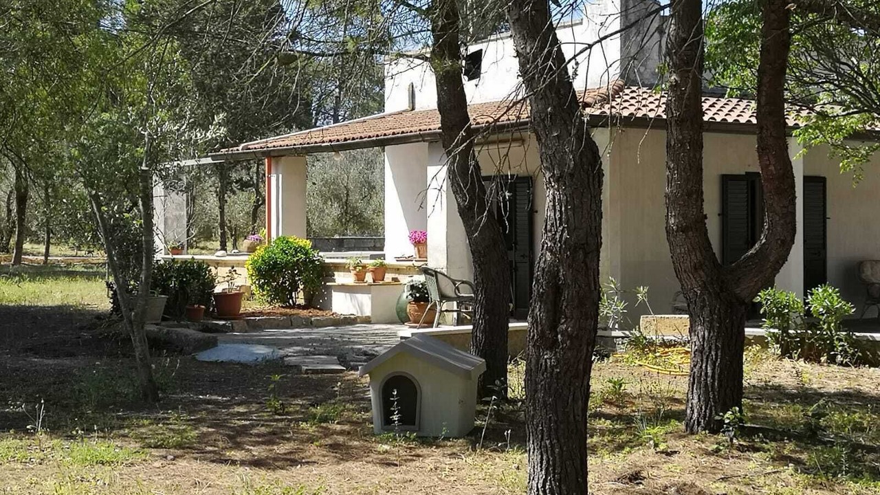 Photo of Outdoor in Manfio