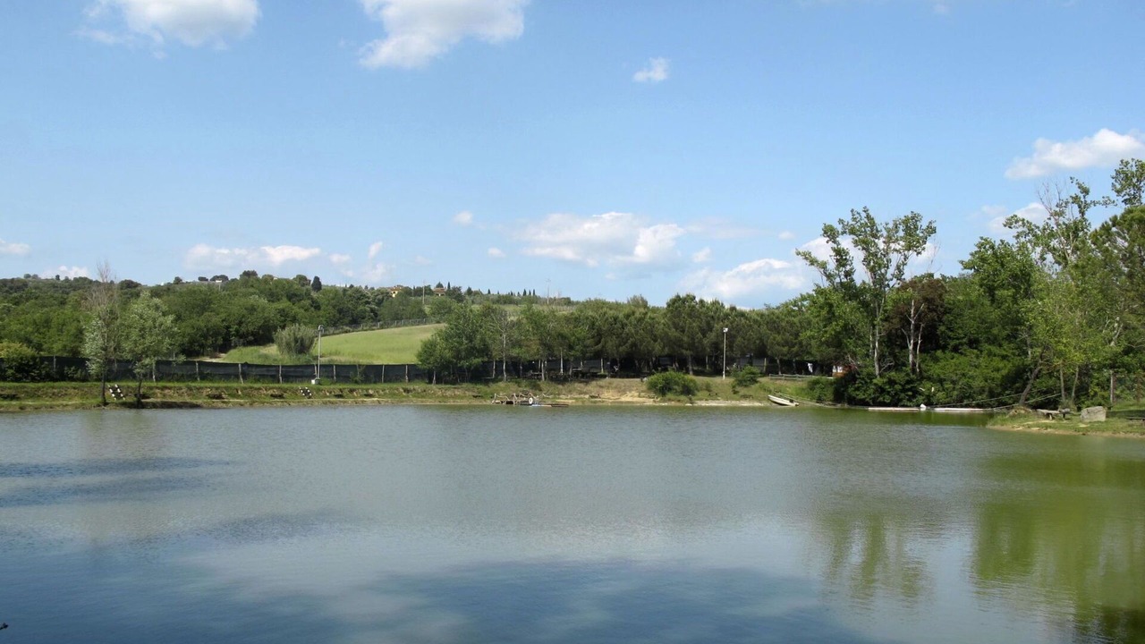 Photo of Outdoor in Oliveto