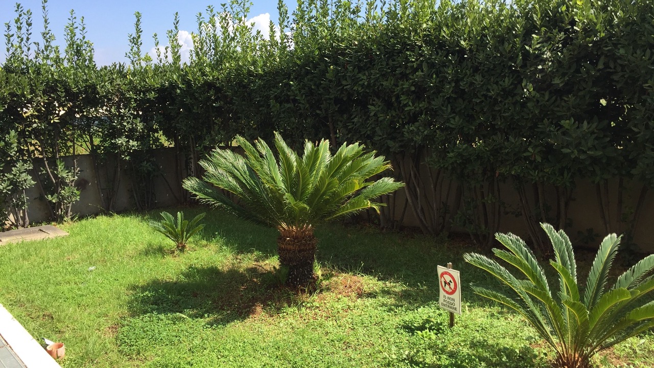 Photo of Outdoor in Latina