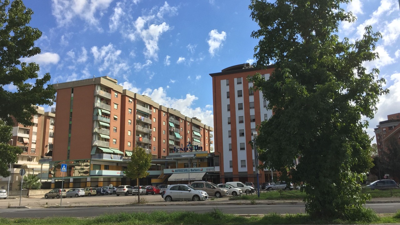 Photo of Outdoor in Latina