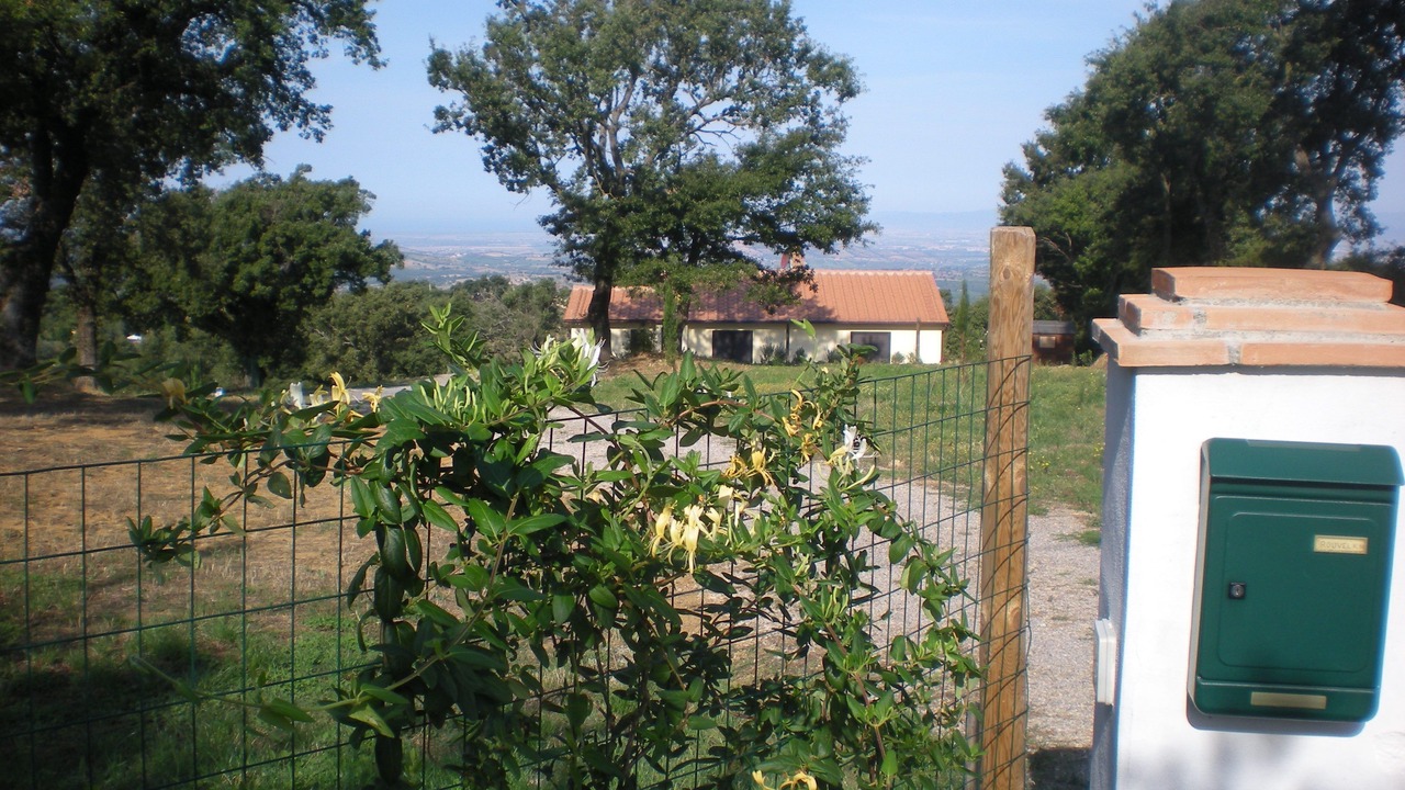 Photo of Outdoor in Scansano