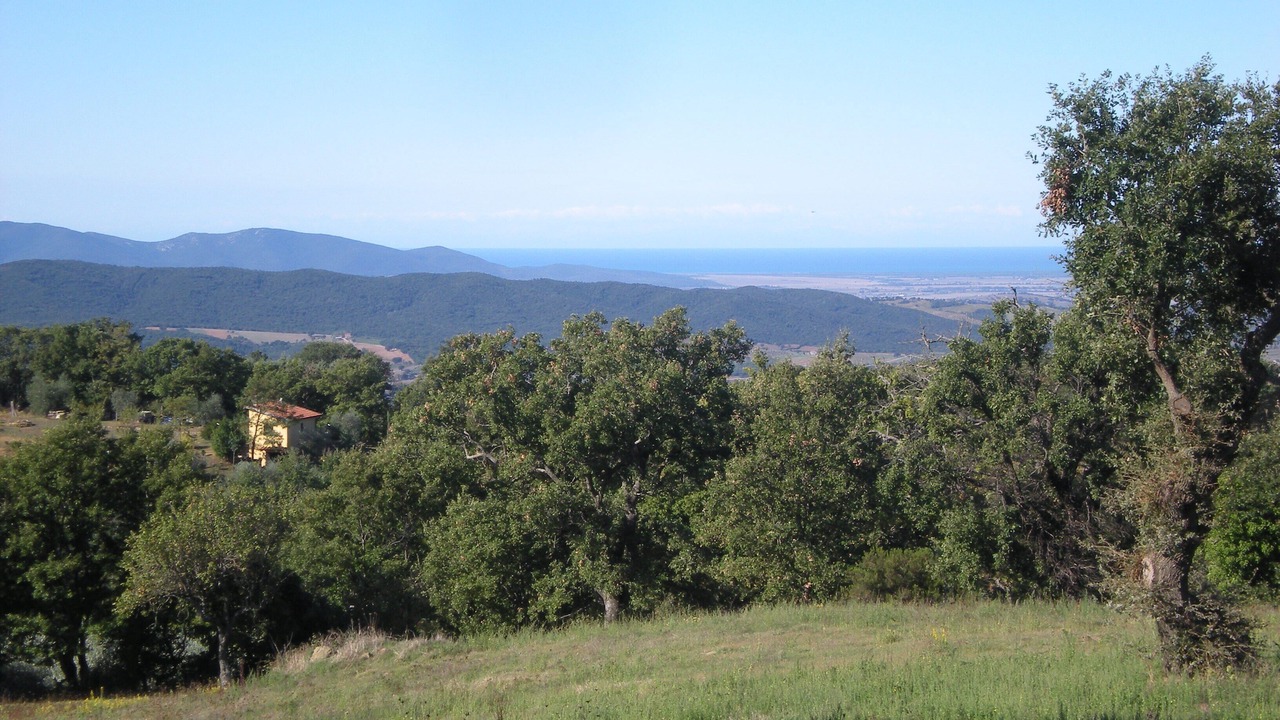 Photo of Outdoor in Scansano