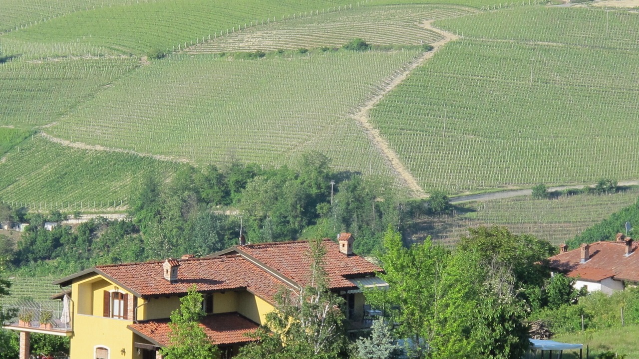 Photo of Outdoor in Diano d'Alba