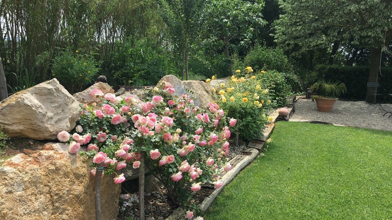 Photo of Outdoor in Cruilles