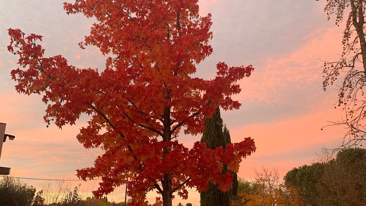 Photo of Outdoor in Cruilles