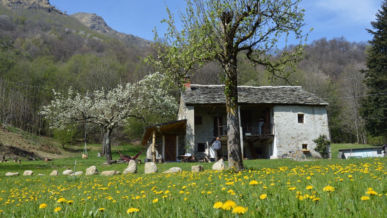 Photo of Outdoor in Drusacco