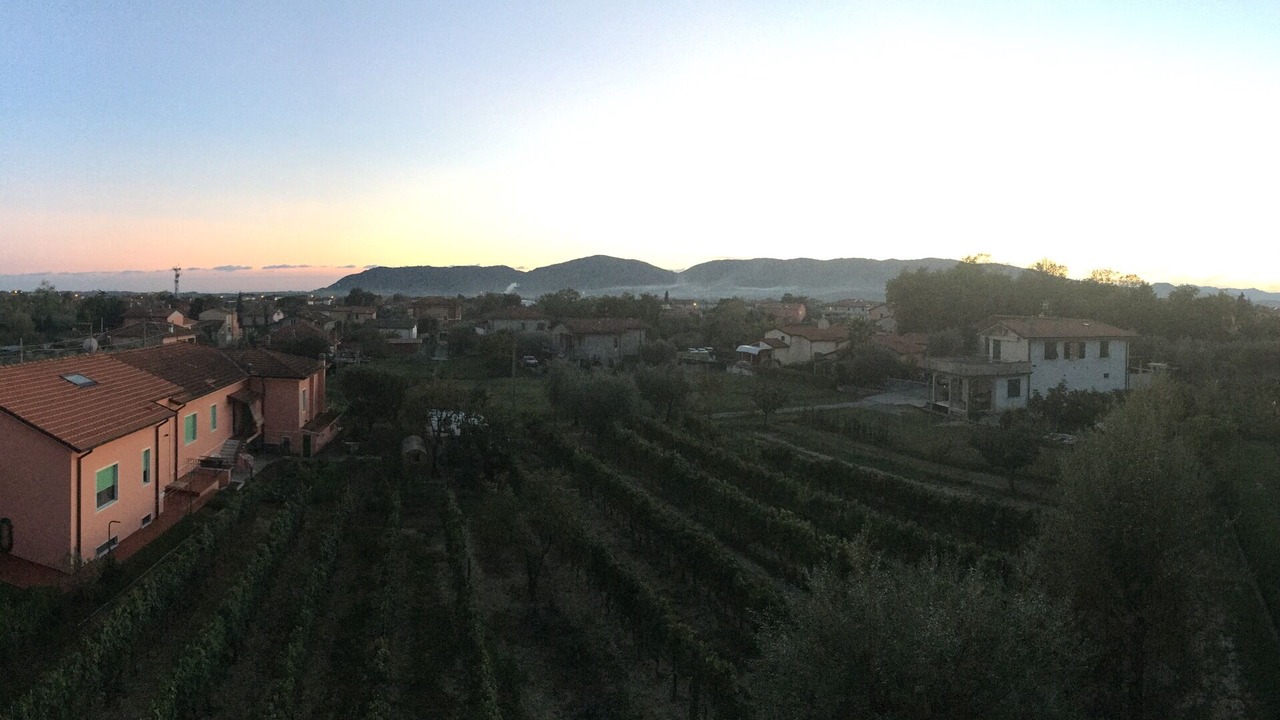 Photo of Others in Castelnuovo Magra