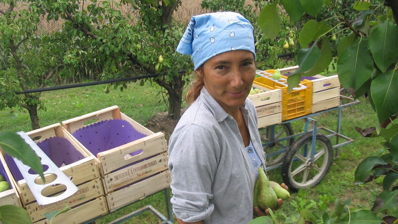 Photo of Others in Malalbergo