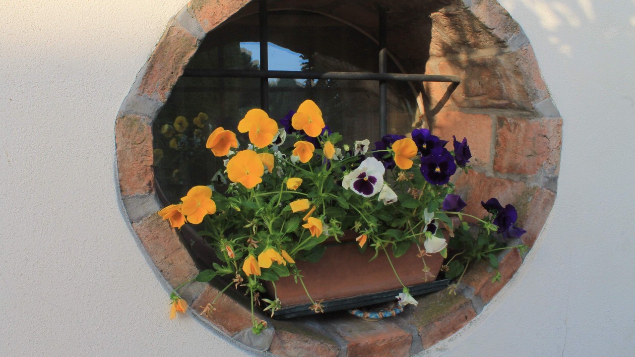 Photo of Outdoor in Malalbergo