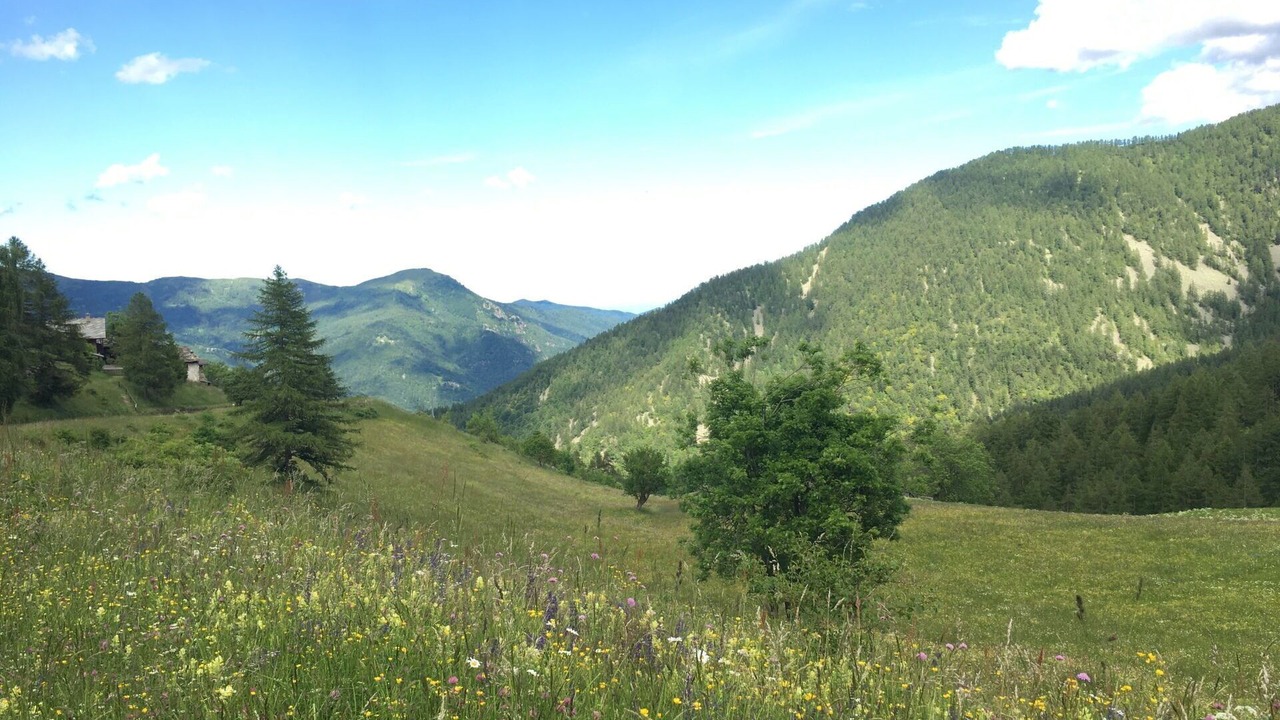 Photo of Others in Sampeyre