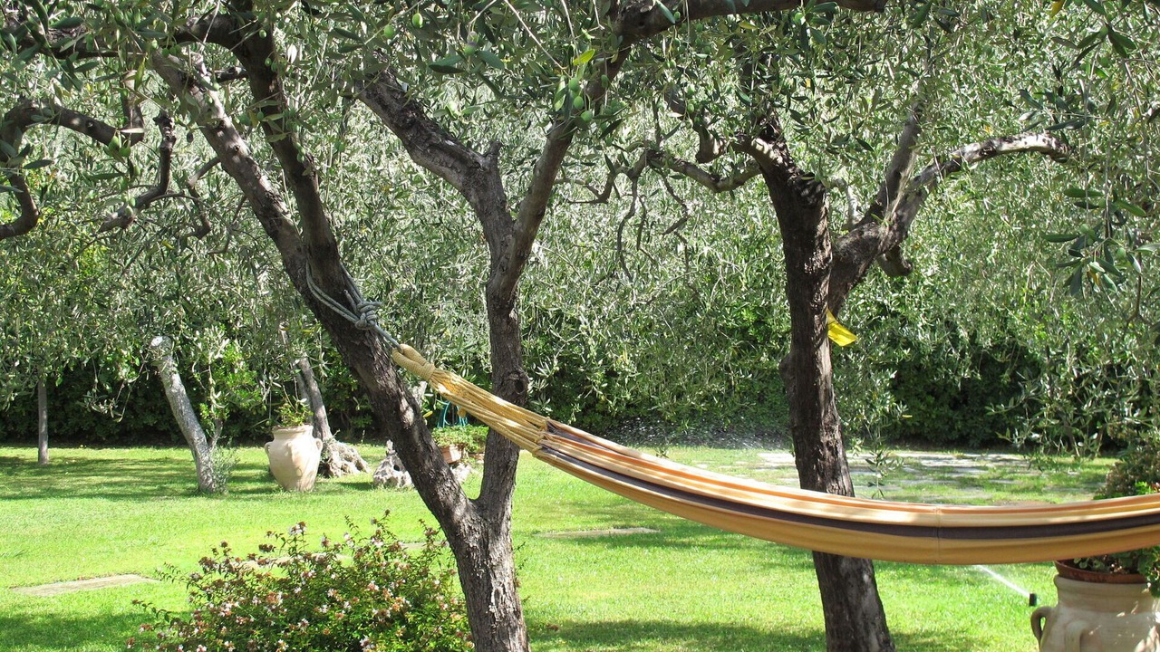 Photo of Others in Monade Santa Lucia