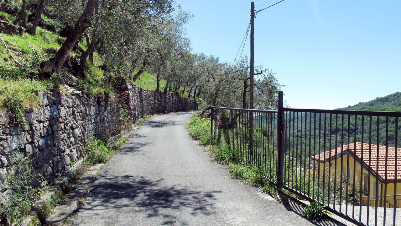 Photo of Others in Pantasina
