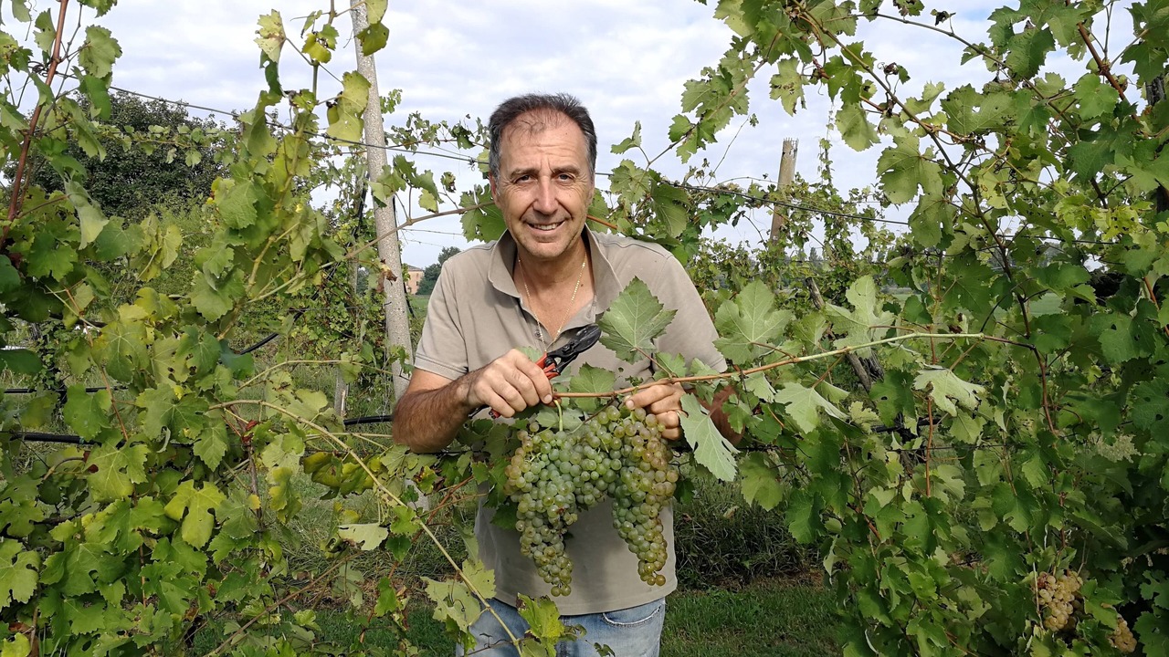 Photo of Outdoor in Malalbergo